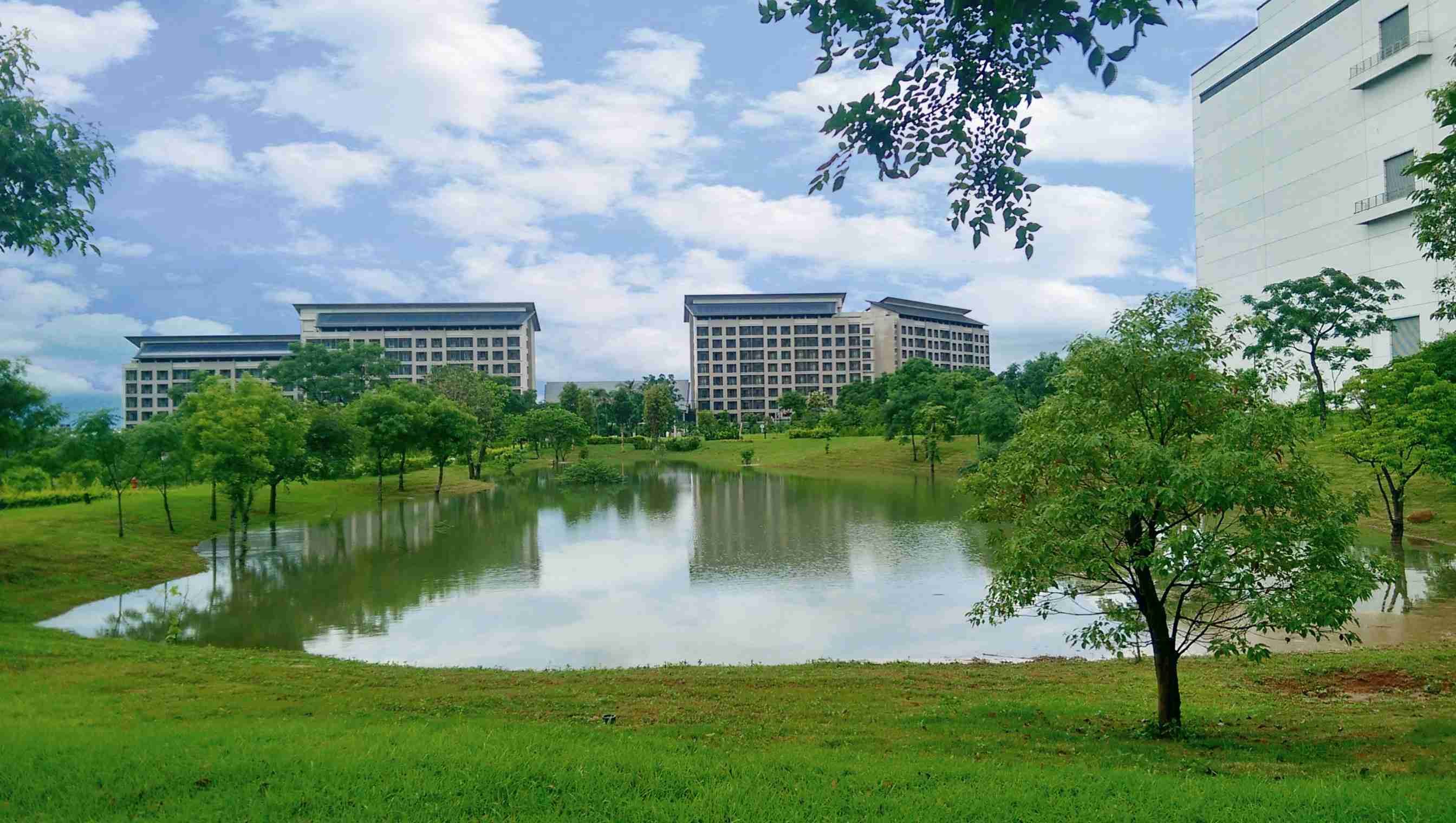 开云电子响应国际倡议生物多样性趋势，，，首次发布TNFD自然相关财务揭露报告书，，擘划及开展开云电子生物多样性政策之承诺，，，，逐步迈向与自然和谐共生